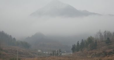 徽乡园畜禽养殖基地