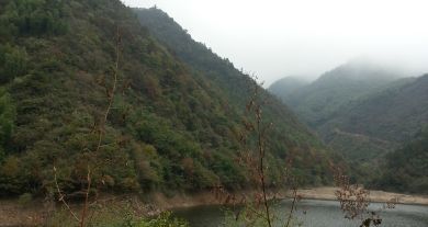 徽乡园畜禽养殖基地4