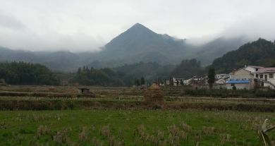 徽乡园畜禽养殖基地5