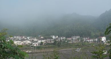 徽乡园畜禽养殖基地6
