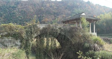 徽乡园畜禽养殖基地7