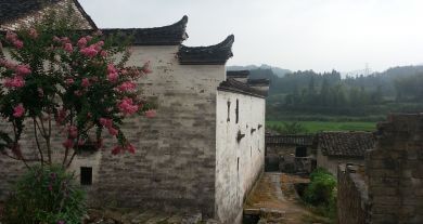 徽乡园畜禽养殖基地10